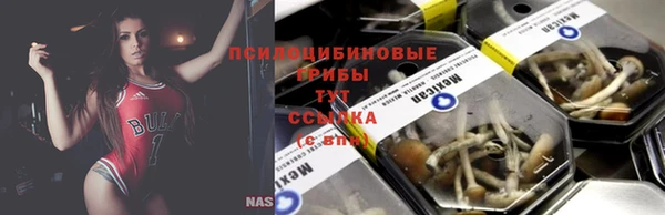2c-b Вяземский