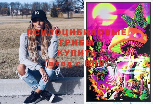 2c-b Вяземский