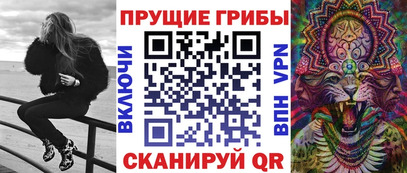 Купить  Кириллов  Галлюциногенные грибы Psilocybe 